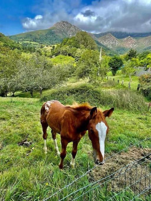 Villa La Coqueta Del Sueve Arriondas Esterno foto