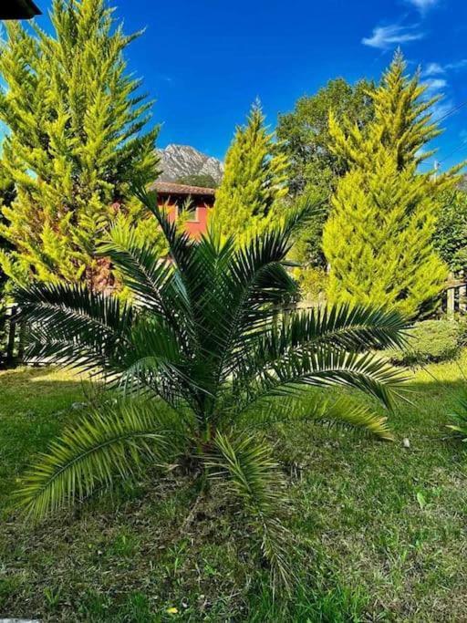 Villa La Coqueta Del Sueve Arriondas Esterno foto