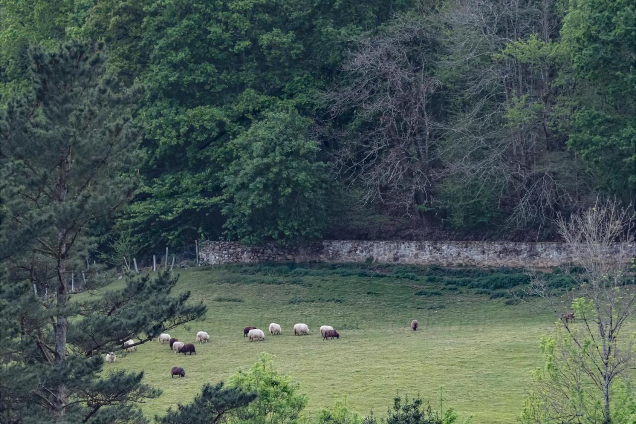 Villa La Coqueta Del Sueve Arriondas Esterno foto