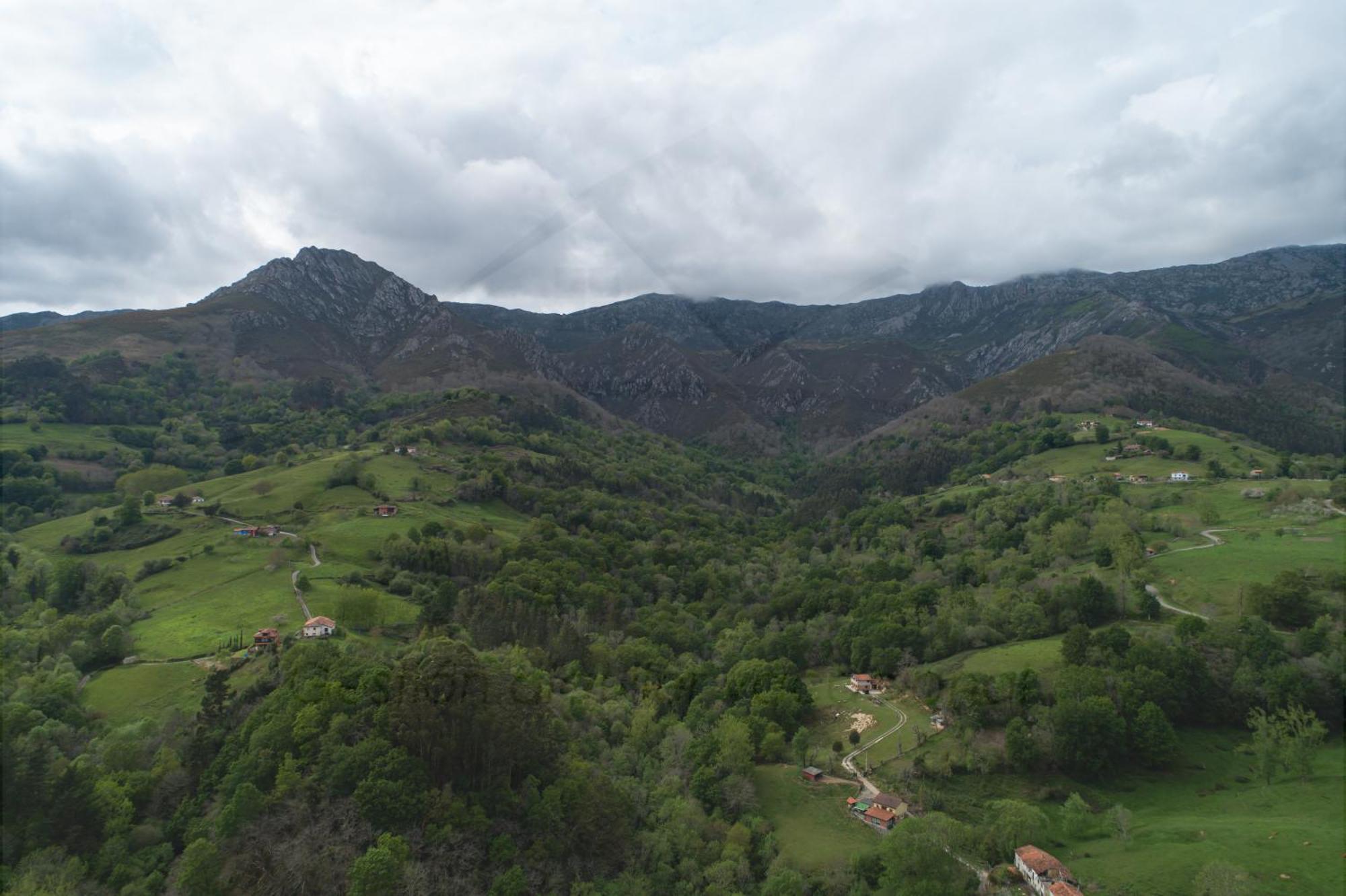 Villa La Coqueta Del Sueve Arriondas Esterno foto